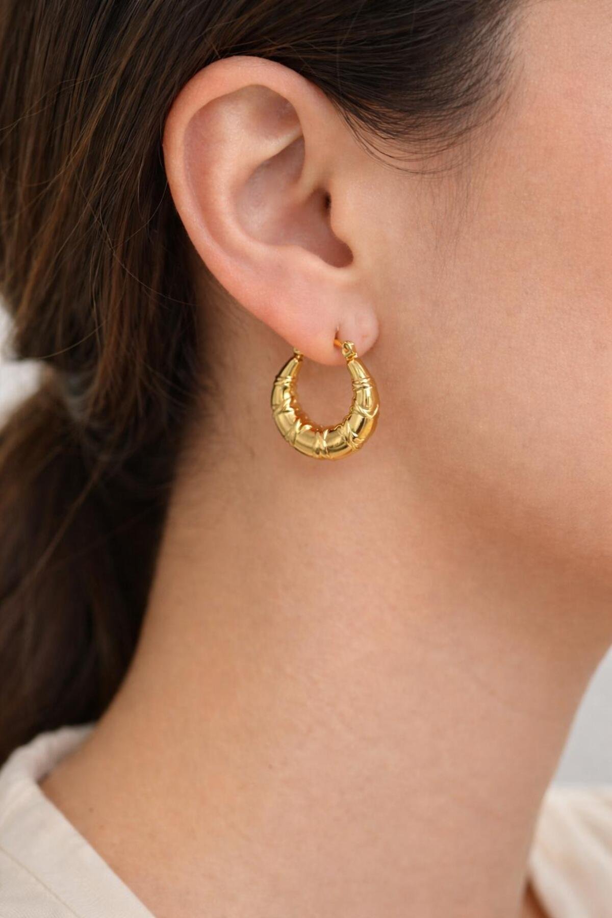 Archhazel Jewelry Mini Croissant Gold Çelik Halka Küpe